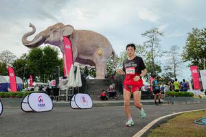 BIB: 
                            <button type="button" onclick="openModal(26528752)" class="btn btn-primary btn-sm float-right btn-popup" data-toggle="modal" data-target=".modal-high-quality">
                        <i class="fas fa-shopping-cart"></i> Add to Cart
                    </button>
                                            <button type="button" onclick="isThisMe(26528752, true)" class="btn btn-success btn-sm float-right btn-popup btn-isme hidden" data-toggle="tooltip" data-placement="bottom" title="นี่คือรูปของคุณใช่ไหม คลิกที่นี่เพื่อเอาเข้าอัลบั้ม">
                        <i class="fas fa-plus"></i> Add to album
                    </button>
                    <button type="button" onclick="isThisMe(26528752, false)" class="btn btn-warning btn-sm float-right btn-popup btn-isnotme hidden">
                        <i class="fas fa-ban"></i> Remove from album
                    </button>